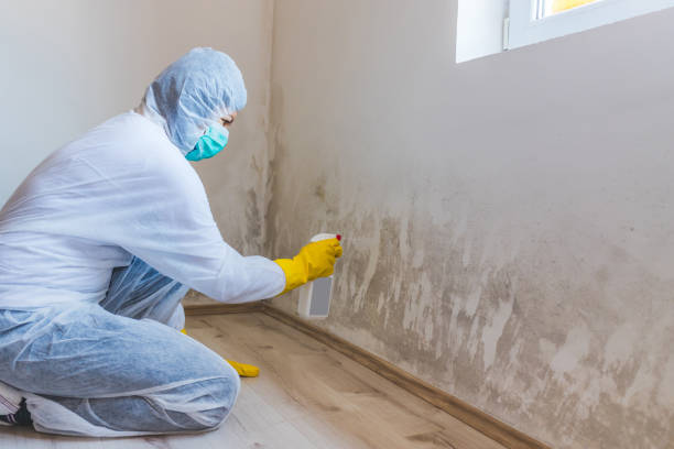Mold inspector in Jessup performing thermal imaging